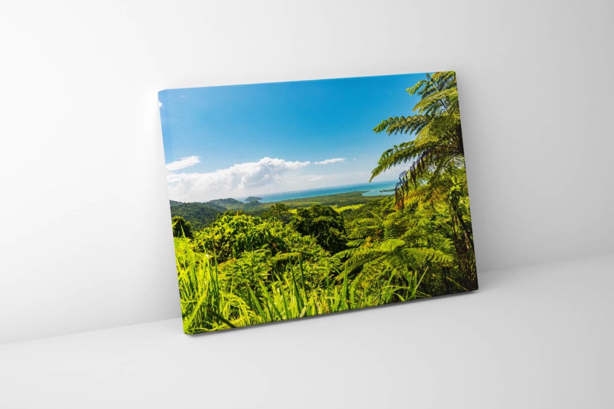 Landscape print, Daintree Rainforest in FNQ, Australia