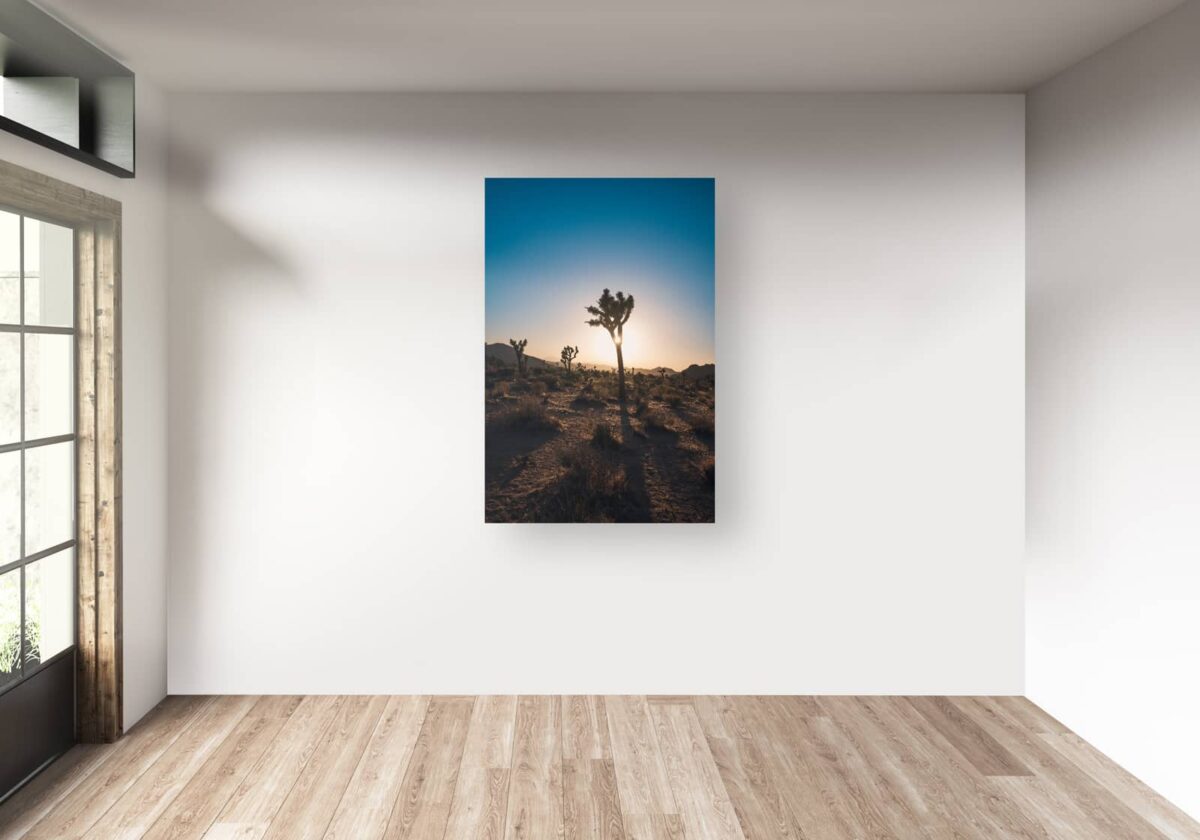 Landscape print of Joshua trees in silhouette at sunset in California