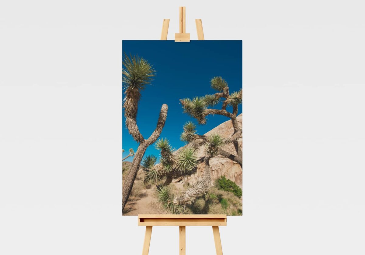 Landscape print of Joshua trees in California