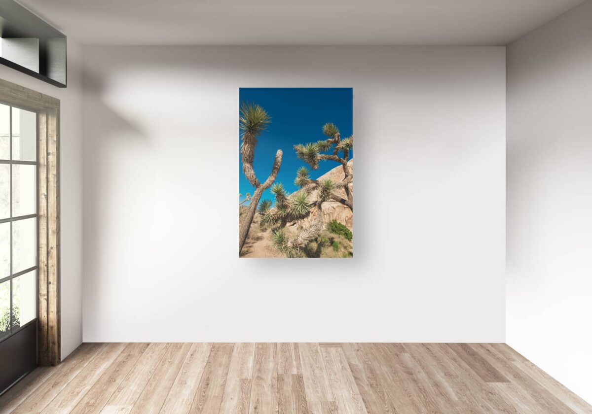 Landscape print of Joshua trees in California