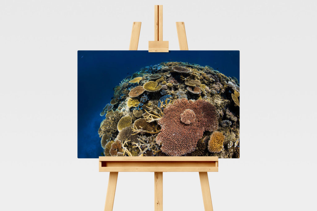 Underwater print of a coral reefscape on the Great Barrier Reef, Ribbon Reefs