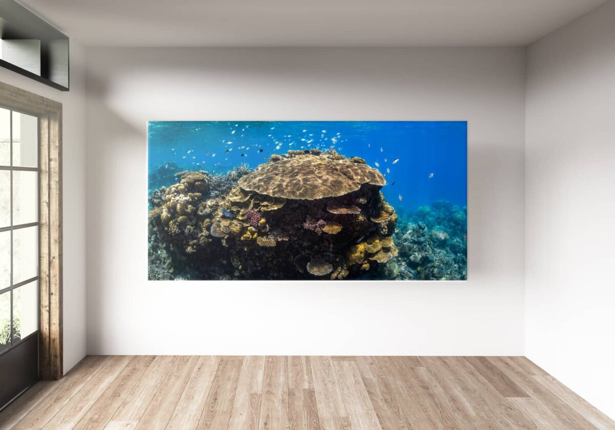 Coral reefscape at Agincour Reef, Great Barrier Reef underwater print