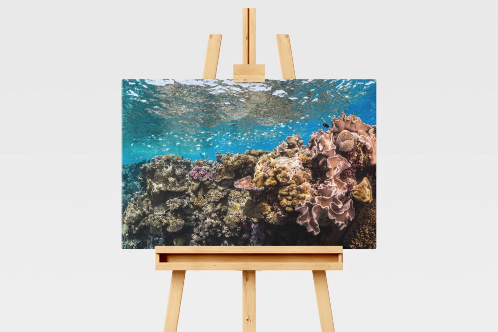 Coral reefscape at Agincour Reef, Great Barrier Reef underwater print
