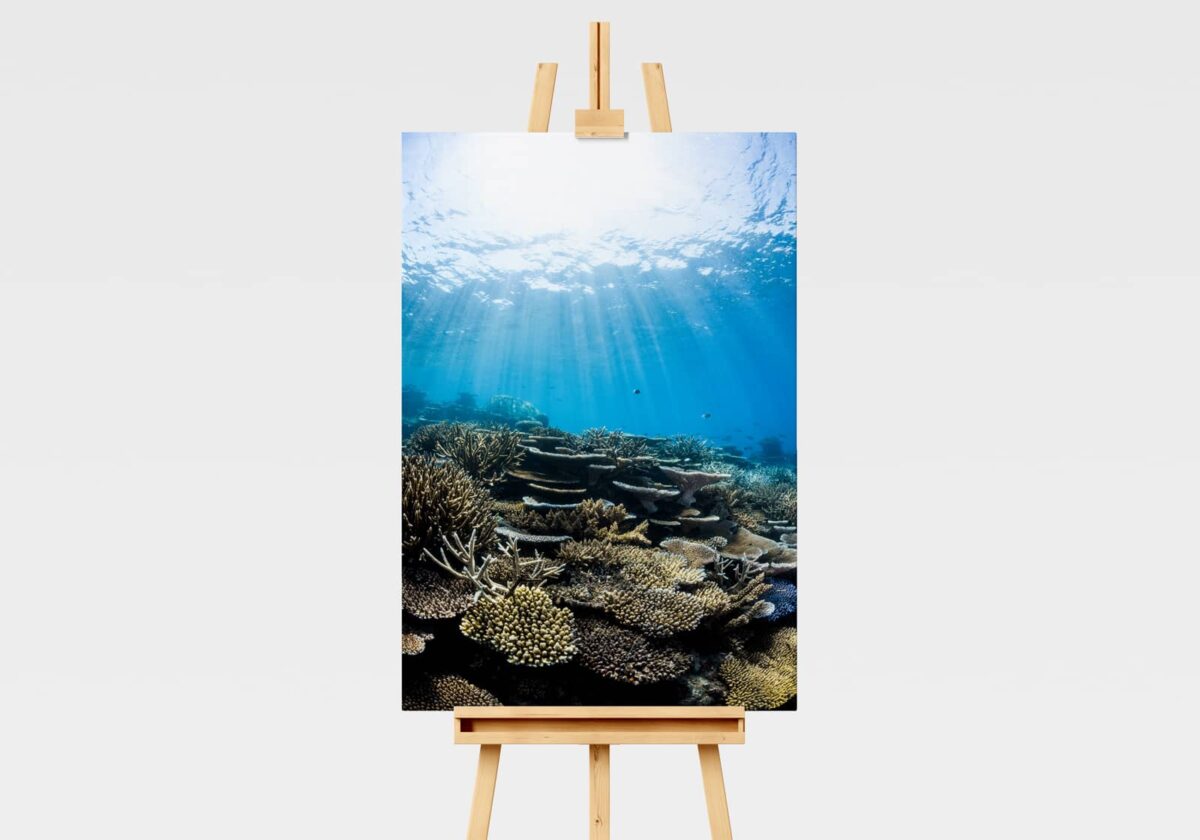 Underwater print of a coral reefscape on the Great Barrier Reef in Australia