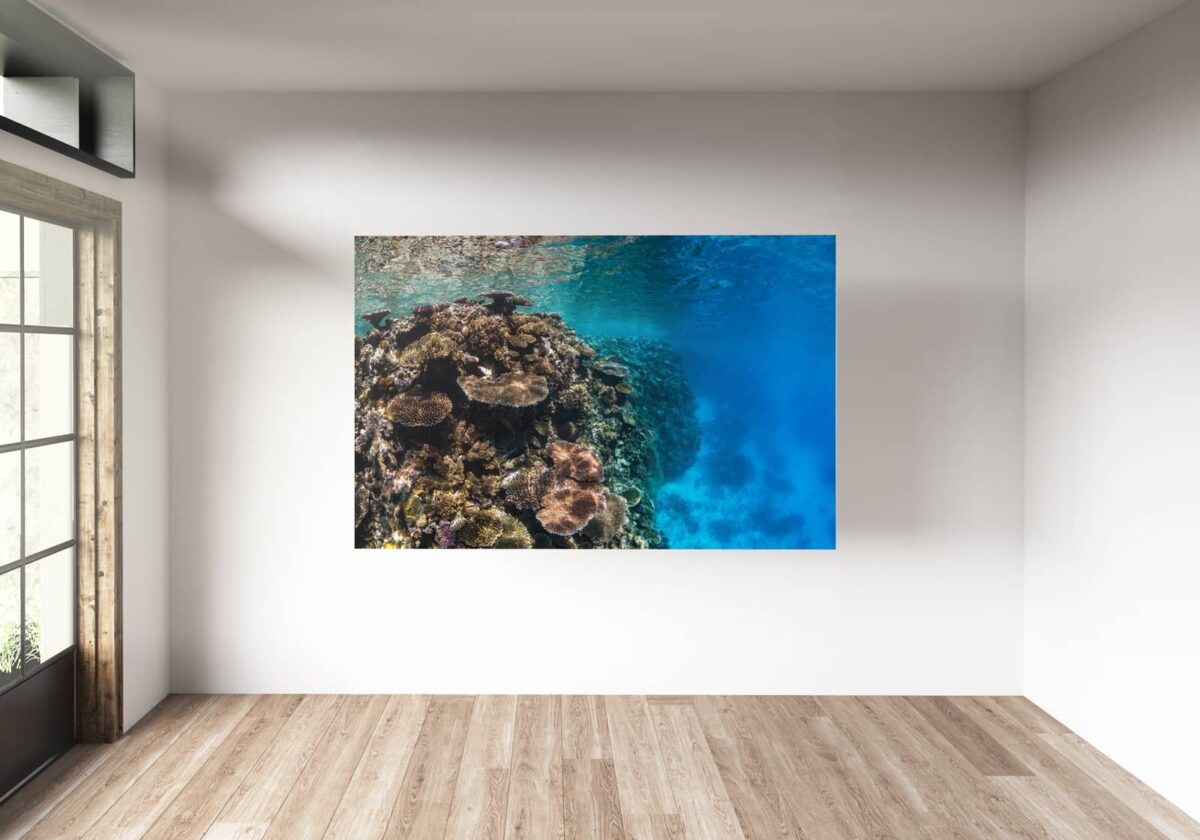 Underwater Print of Agincourt Reef, Port Douglas, Australia