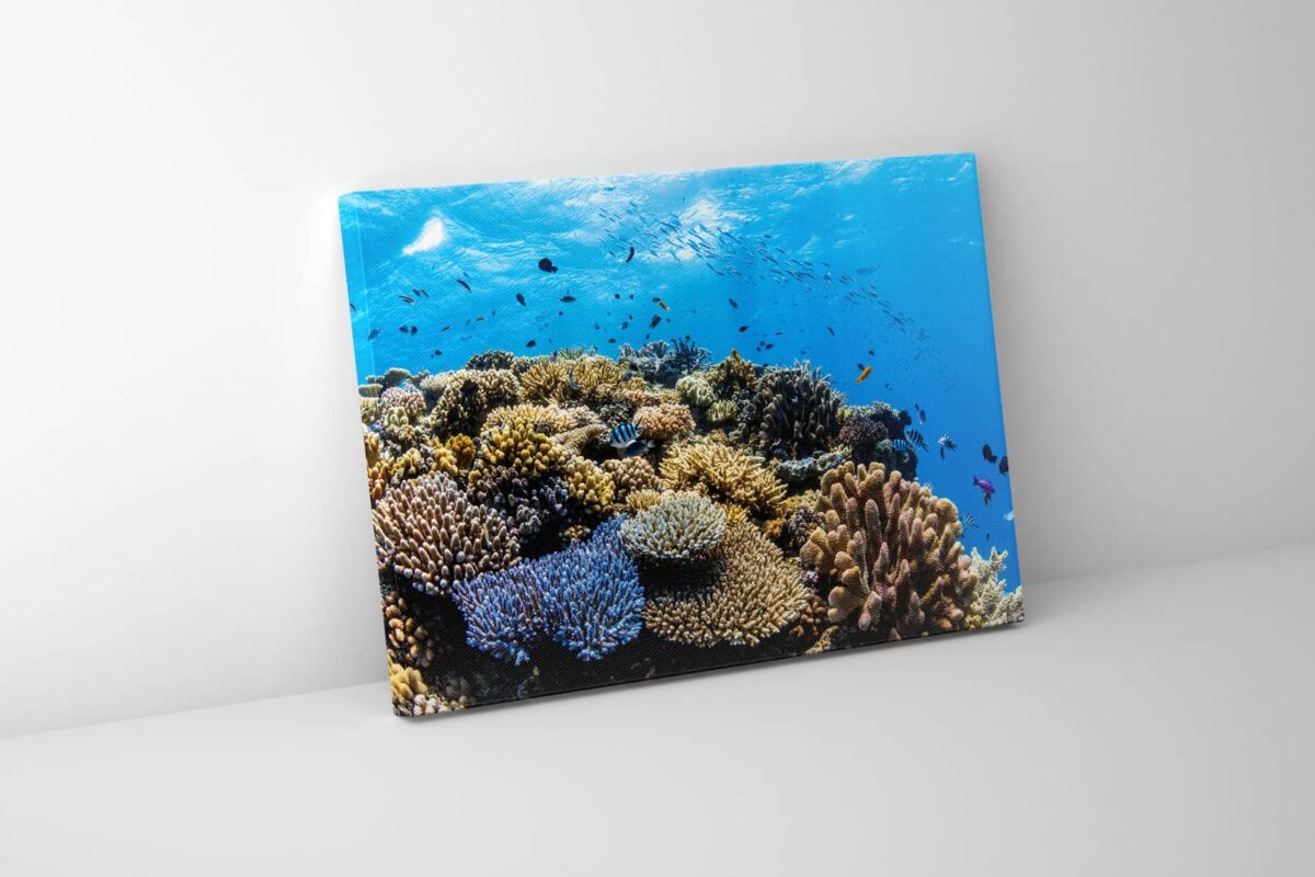 Underwater print of a coral reefscape on the Great Barrier Reef
