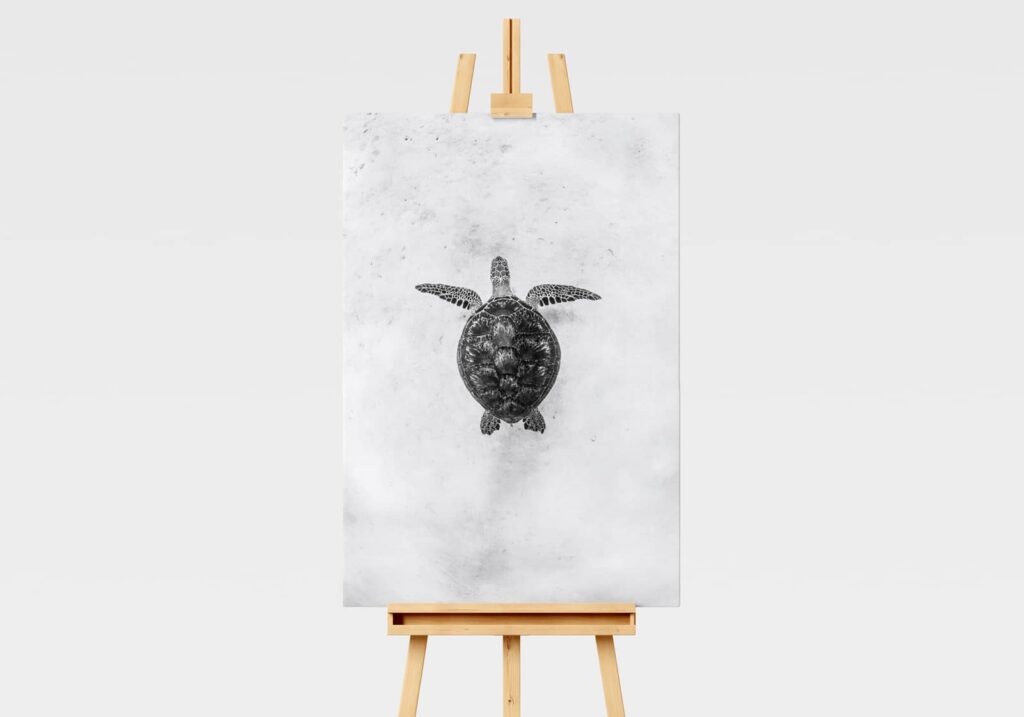 Green Sea Turtle Print in Black and White
