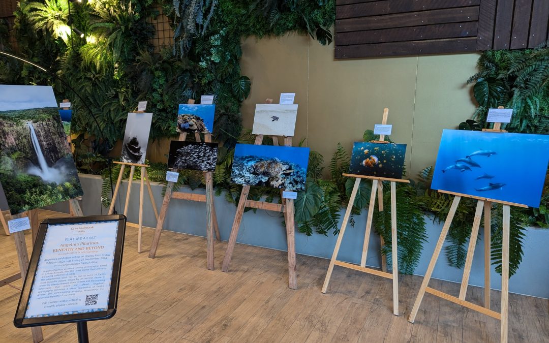 Unveiling ‘Beneath & Beyond’: Highlights from My Cairns Photo Exhibition