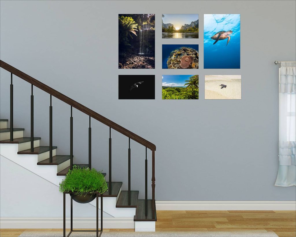 Gallery wall with underwater and landscape photographic prints
