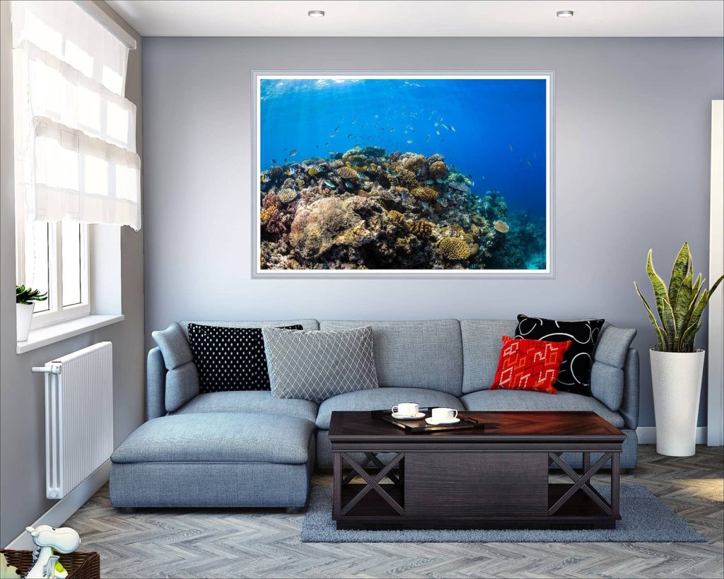 Hero image of a coral reef on a living room wall