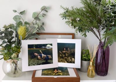 Timber Art Mount Box - Products & Price Guide