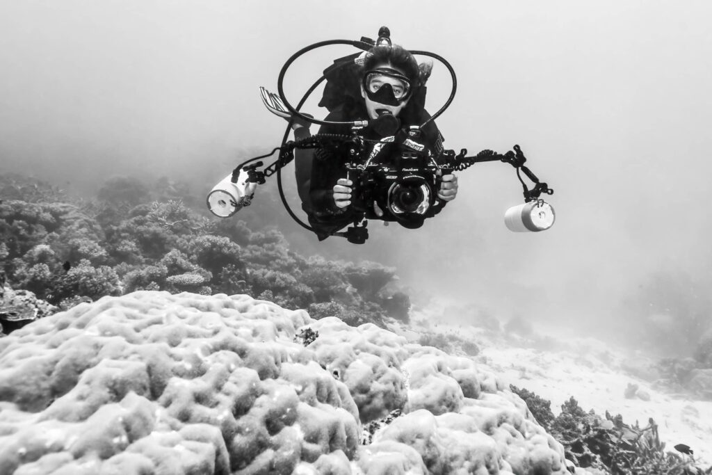 Angelina Pilarinos underwater photographer