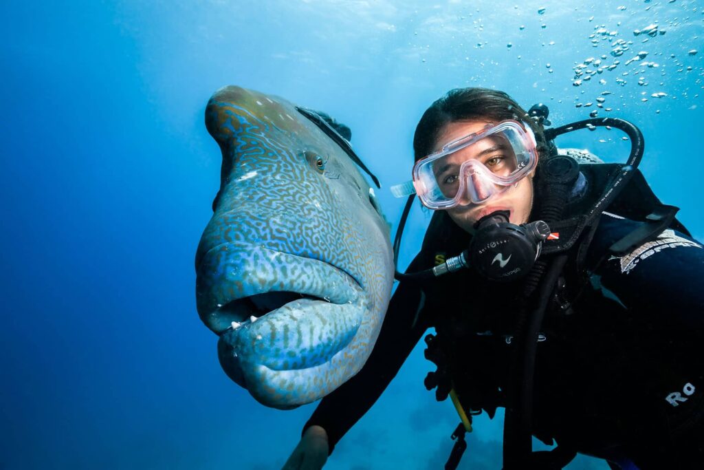 Angelina Pilarinos underwater selfie with a Maori wrasse