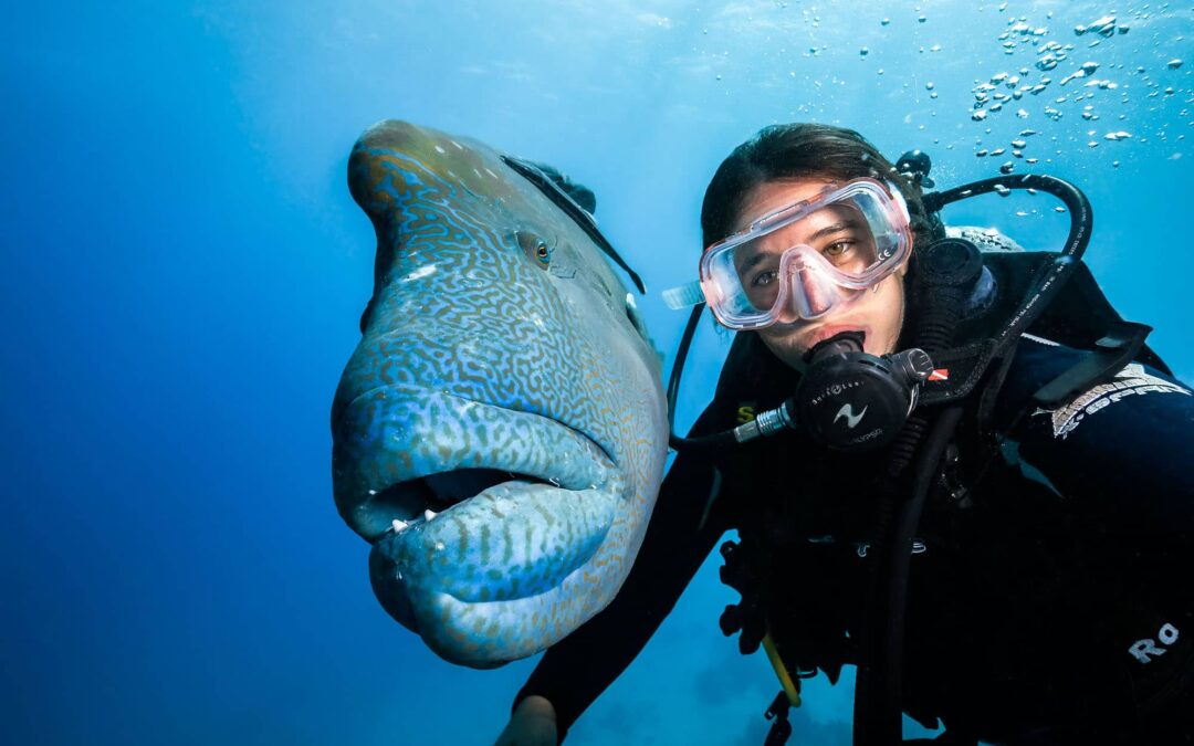 A DAY IN THE LIFE OF AN UNDERWATER PHOTOGRAPHER ON THE GREAT BARRIER REEF