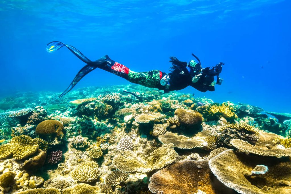 Angelina Pilarinos Photographer Taking Photos Underwater