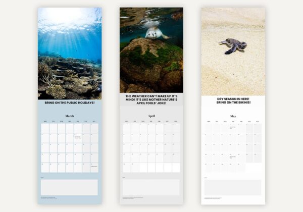 Ocean Calendar by Angelina - 2024