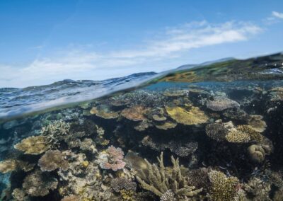 Private yacht charter and underwater photographer, Cairns