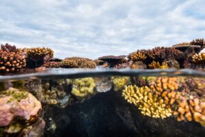 Low tide on the Great Barrier Reef split shot