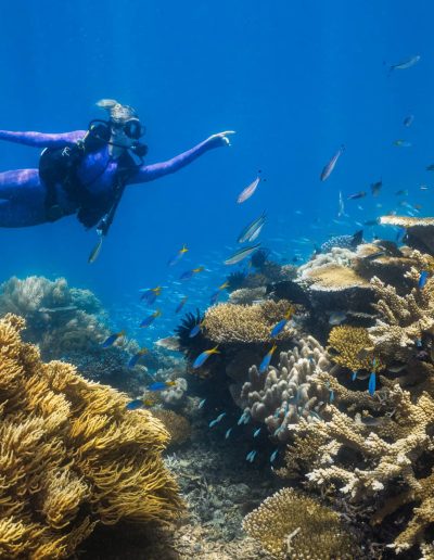 Underwater scuba diving photo by Angelina Pilarinos Photography