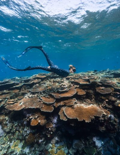 Underwater freediving photo by Angelina Pilarinos Photography