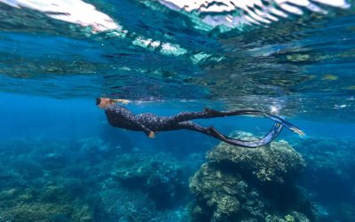 How I Shot a Stunning Underwater Campaign for Plunge Waterwear