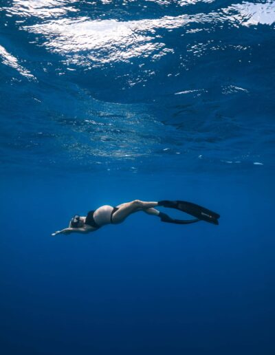 underwater maternity photoshoot on the great barrier reef